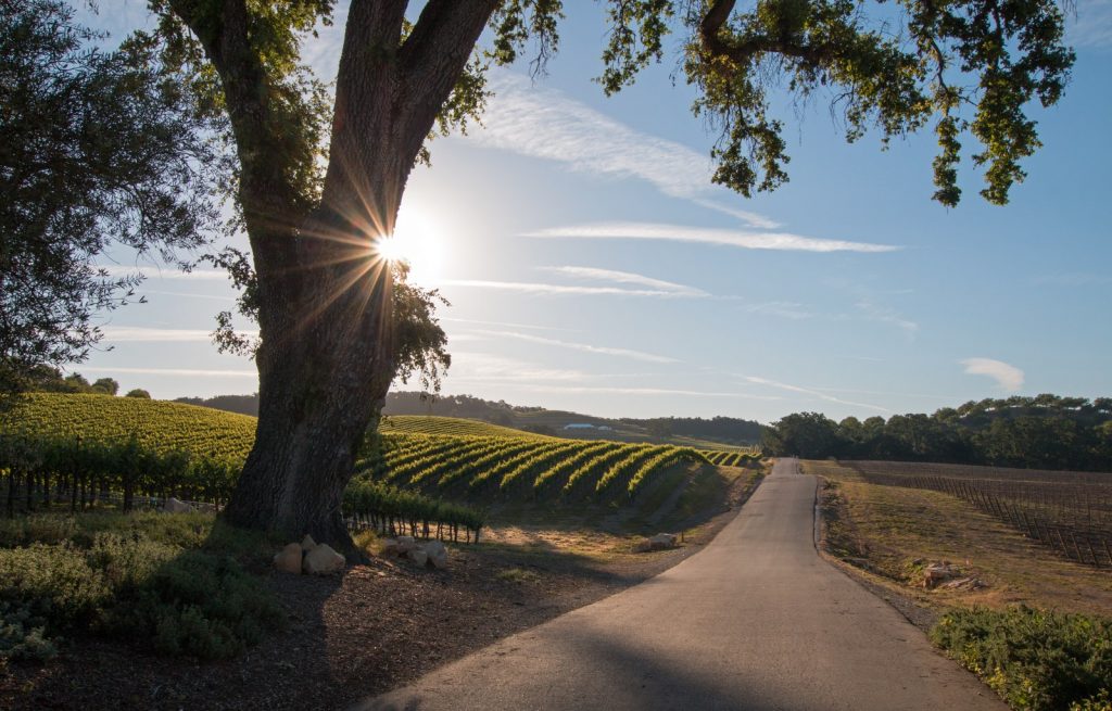 PasoRobles-weekend-getaways-california