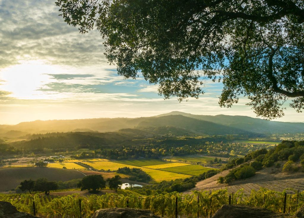 Sonoma-county-weekend-getaways-california